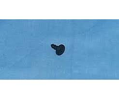 Beko Dishwasher Screw - 1831680000