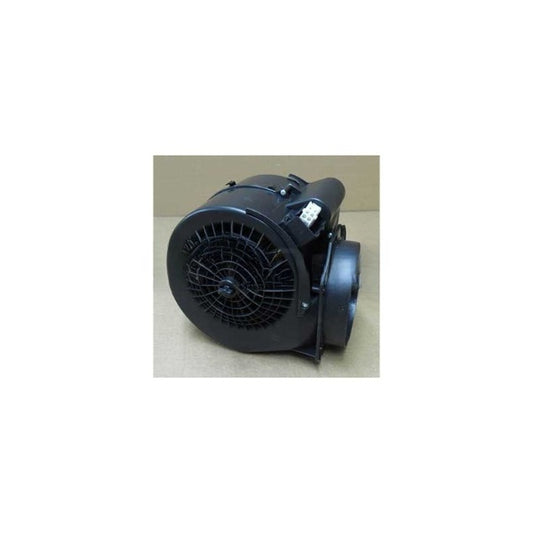 Beko Motor - 9174520034